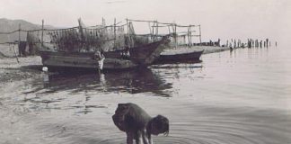 Fotografi Kristaq Sotir, mjeshtër i portretit dhe i artit të të vëzhguarit