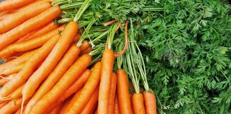 Sekretet e Panjohura të Karrotës