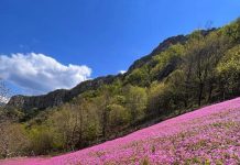 Stanet e Murgës, me ngjyrat më të bukura