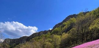 Stanet e Murgës, me ngjyrat më të bukura