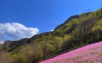 Stanet e Murgës, me ngjyrat më të bukura