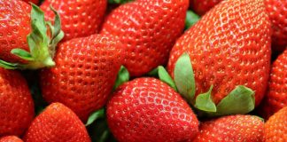 7 Arsye Pse Duhet të Hani më Shumë Luleshtrydhe Tani