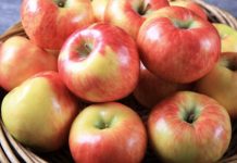 Mollët – Një Fakt Surprizues Rreth Tyre