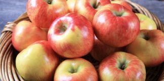 Mollët – Një Fakt Surprizues Rreth Tyre