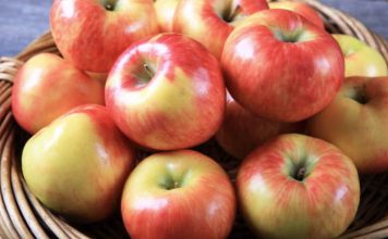 Mollët – Një Fakt Surprizues Rreth Tyre