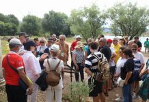 Vijon trendi në rritje i turizmit, 1.5 milionë vizitorë të huaj në 3 muajt e parë të vitit