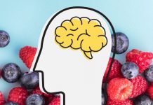Ushqimet Më Të Mira Për Trurin Që Ju Ndihmojnë Me Përqendrimin