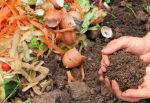 Si të Ktheni Ushqimet e Mbetura në dhe Organik