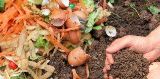 Si të Ktheni Ushqimet e Mbetura në dhe Organik