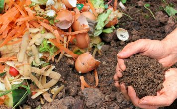 Si të Ktheni Ushqimet e Mbetura në dhe Organik