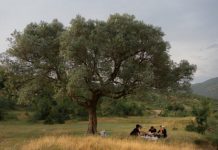 “Forbes”: Shqipëria – Aventurë emocionuese në destinacionin evropian ‘pa turma’