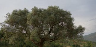 “Forbes”: Shqipëria – Aventurë emocionuese në destinacionin evropian ‘pa turma’