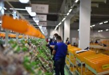 INSTAT: Ekonomia u rrit me 3.44 % gjatë vitit 2023