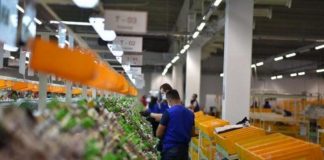 INSTAT: Ekonomia u rrit me 3.44 % gjatë vitit 2023