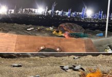 Sot është Dita Botërore e Gjallesave Ujore