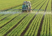 Skema Kombëtare në Bujqësi, më shumë se 4 000 aplikime në bashkinë e Elbasanit