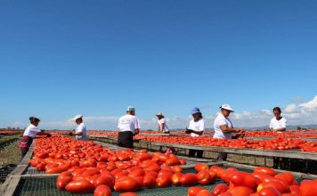 INSTAT: 74.6% e eksporteve shqiptare drejt tregjeve europiane