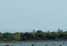 Turistët eksplorim me kajak në lagunën e Karavastasë