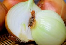 Nëse Hani Një Qepë në Ditë – Çfarë i Ndodh Organizmit Tuaj