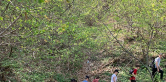 “Shtegu i Gështenjave” eksperiencë fantastike mes natyrës dhe trashëgimisë kulturore