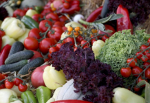 Eksportet bujqësore u rritën në sasi me 28.3 % në prill