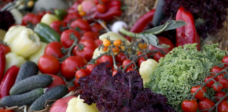 Eksportet bujqësore u rritën në sasi me 28.3 % në prill