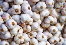 4 Arsye Përse Duhet të Hani më Shumë Hudhër në Verë