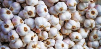 4 Arsye Përse Duhet të Hani më Shumë Hudhër në Verë