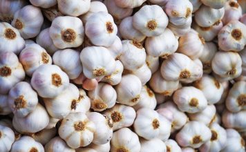 4 Arsye Përse Duhet të Hani më Shumë Hudhër në Verë