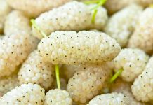 Vlerat Shëndetësore të Manave të Bardha për Diabetin dhe Artritin