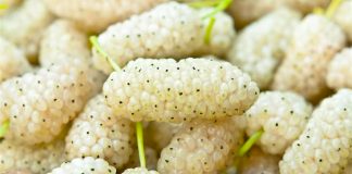 Vlerat Shëndetësore të Manave të Bardha për Diabetin dhe Artritin