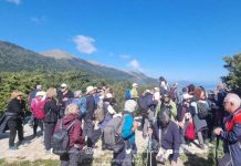 Grupe turistësh eksplorojnë Parkun Kombëtar të Llogorasë