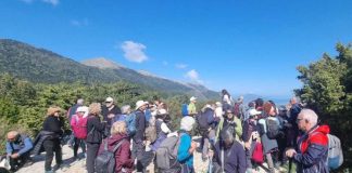 Grupe turistësh eksplorojnë Parkun Kombëtar të Llogorasë