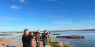 Nis censusi dimëror për popullatën e pelikanit kaçurrel