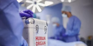 Realizohet transporti i parë i organeve nën zero gradë Celsius në botë