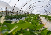 403 fermerë aplikuan për Skemën Kombëtare të Investimeve 2024