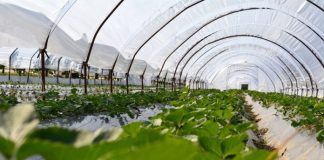 403 fermerë aplikuan për Skemën Kombëtare të Investimeve 2024