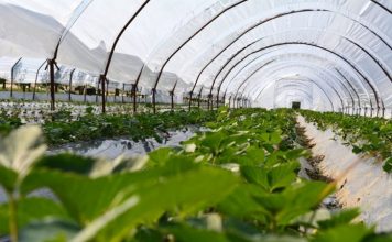 403 fermerë aplikuan për Skemën Kombëtare të Investimeve 2024