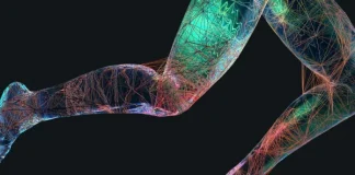 Aktiviteti fizik bën mirë për neuronet dhe ndihmon në trajtimin e lëndimeve nervore