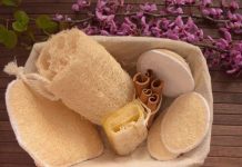 Sfungjeri bimor i prodhuar në Berat fiton terren në tregun europian