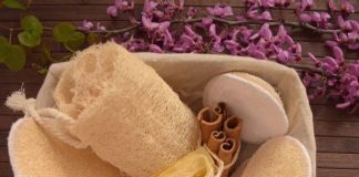 Sfungjeri bimor i prodhuar në Berat fiton terren në tregun europian