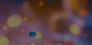 Pse duhen përdorur arrat?