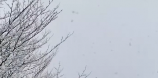 Puka e mbuluar me borë