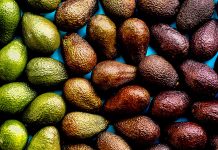 Cilat Janë më të Mira për Shëndetin Avokadot Jeshile apo të Zezat?