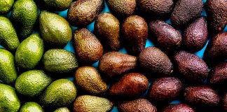 Cilat Janë më të Mira për Shëndetin Avokadot Jeshile apo të Zezat?