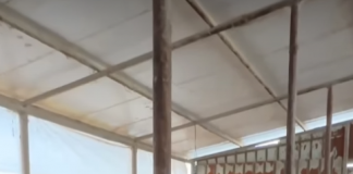 Albano, mjeku veteriner i ri