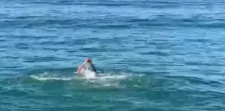 Në Vlorë bëhet not edhe në janar!