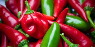 Lëngu i Specit – Pija Energjike Natyrale