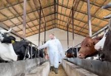 Benard Murati, veteriner i ri dhe i përkushtuar