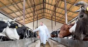 Benard Murati, veteriner i ri dhe i përkushtuar